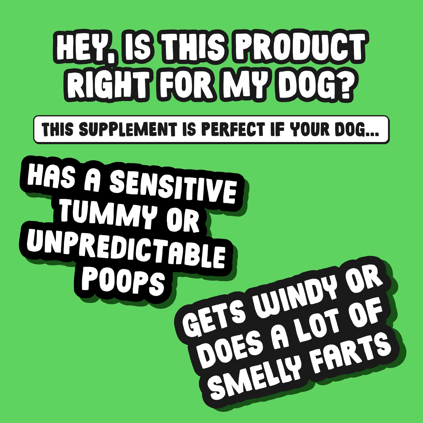 Daily Probiotic & Digestion Supplement for Dogs