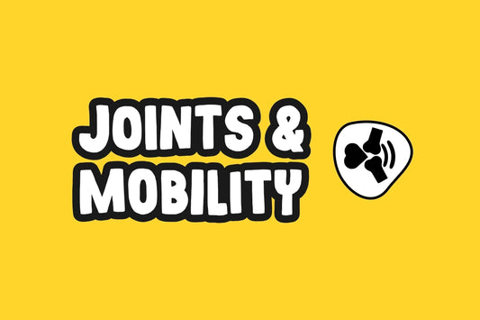 Understanding Glucosamine Supplements