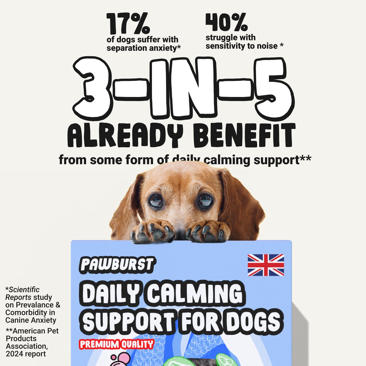 Daily Calming Supplement for Anxious Dogs