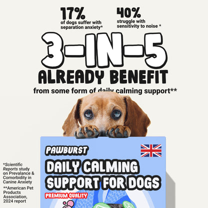 Daily Calming Supplement for Anxious Dogs