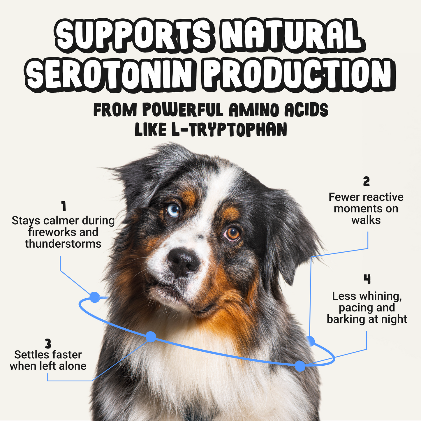 Daily Calming Supplement for Anxious Dogs