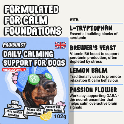 Daily Calming Supplement for Anxious Dogs
