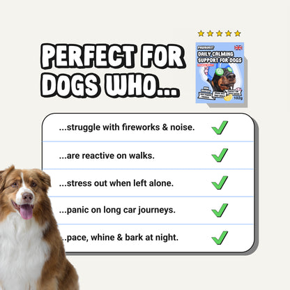 Daily Calming Supplement for Anxious Dogs