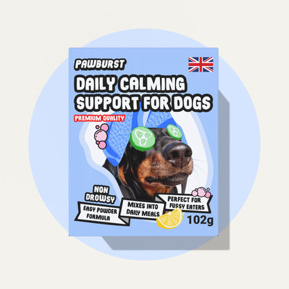 Daily Calming Supplement for Anxious Dogs