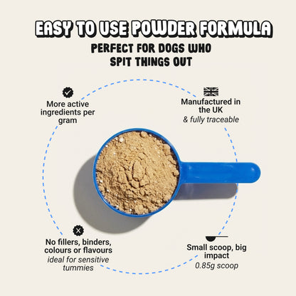 Daily Calming Supplement for Anxious Dogs