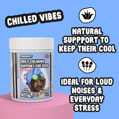 Jar of 'Daily Calming Support for Dogs' with text on a blue background