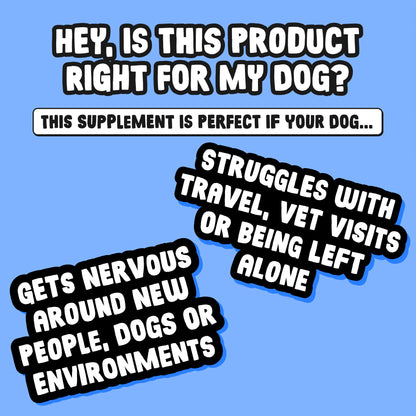 Daily Calming Supplement for Anxious Dogs