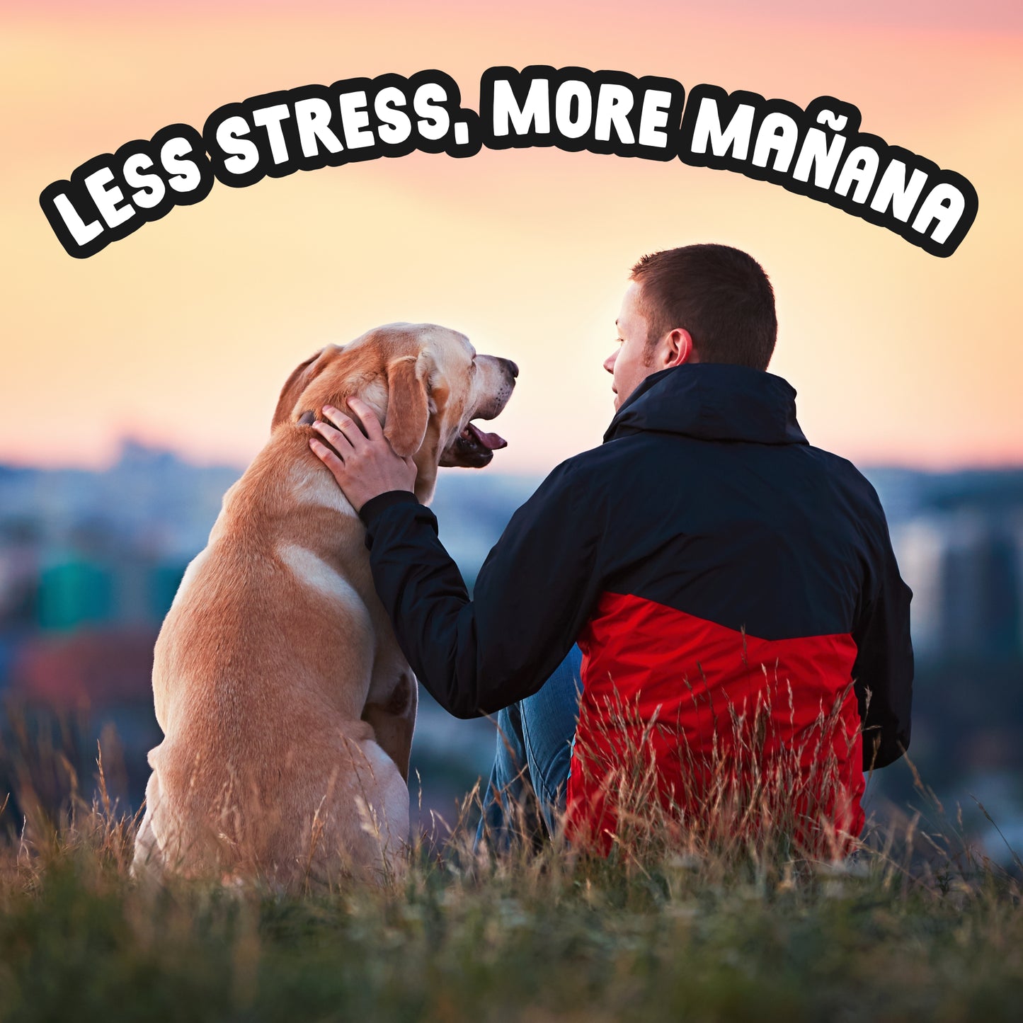 Daily Calming Supplement for Anxious Dogs