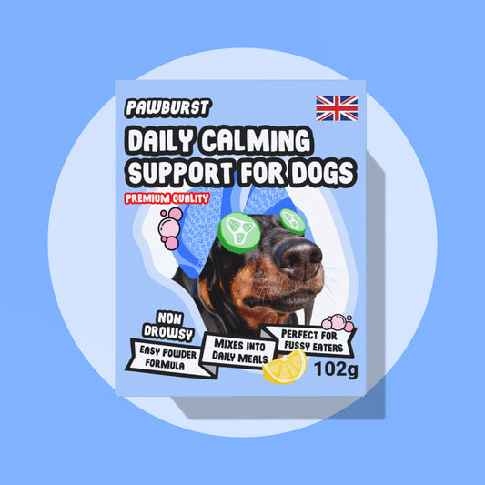 Pawburst daily calming support for dogs packaging on a blue background
