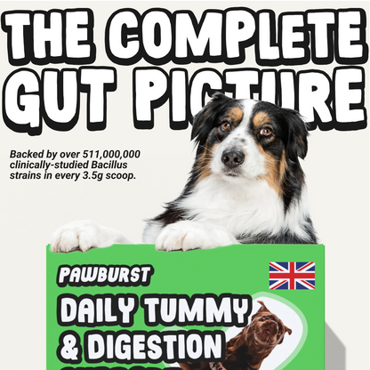 Daily Probiotic & Digestion Supplement for Dogs