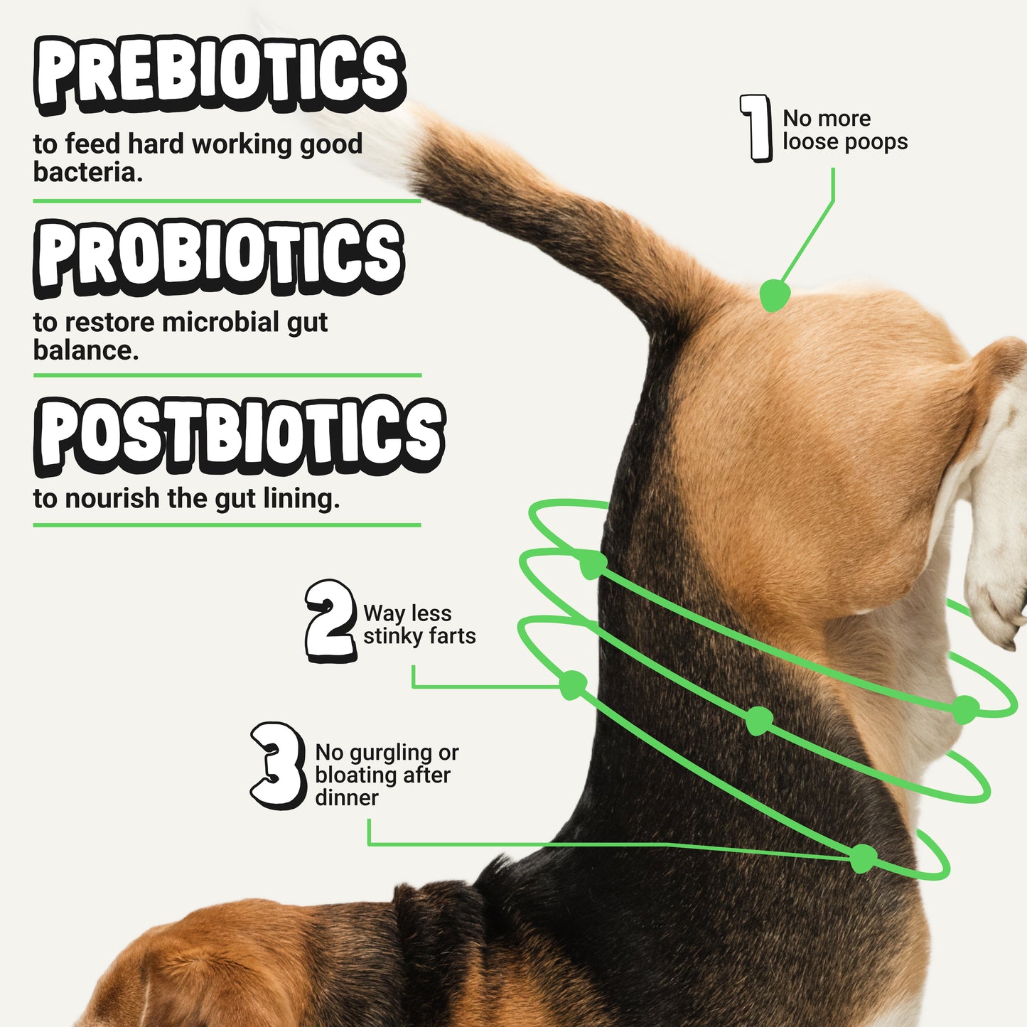 Daily Probiotic & Digestion Supplement for Dogs