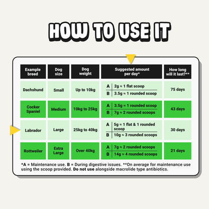 Daily Probiotic & Digestion Supplement for Dogs