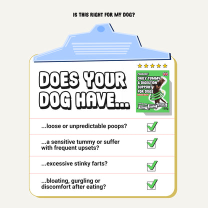 Daily Probiotic & Digestion Supplement for Dogs