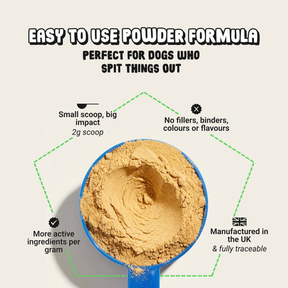 Daily Probiotic & Digestion Supplement for Dogs