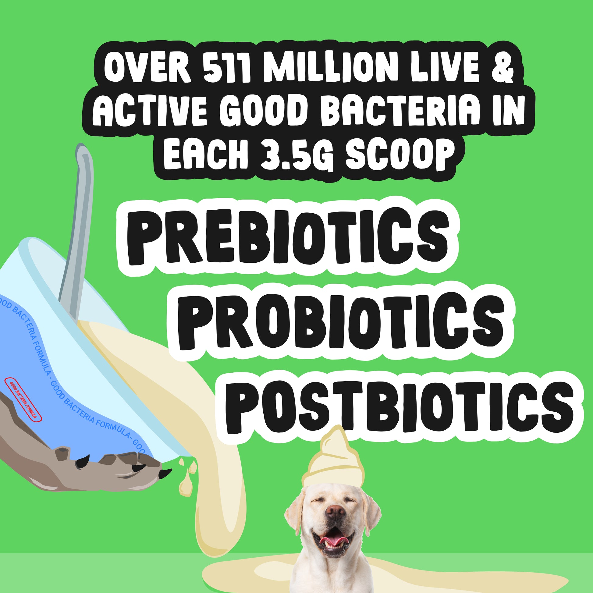 Promotional graphic for prebiotics, probiotics, and postbiotics with a dog and scoop on a green background.