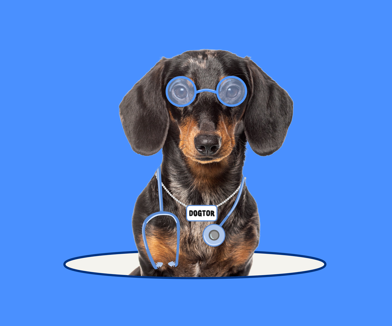 Dog wearing a 'Doctor' outfit with goggles and stethoscope on a blue background