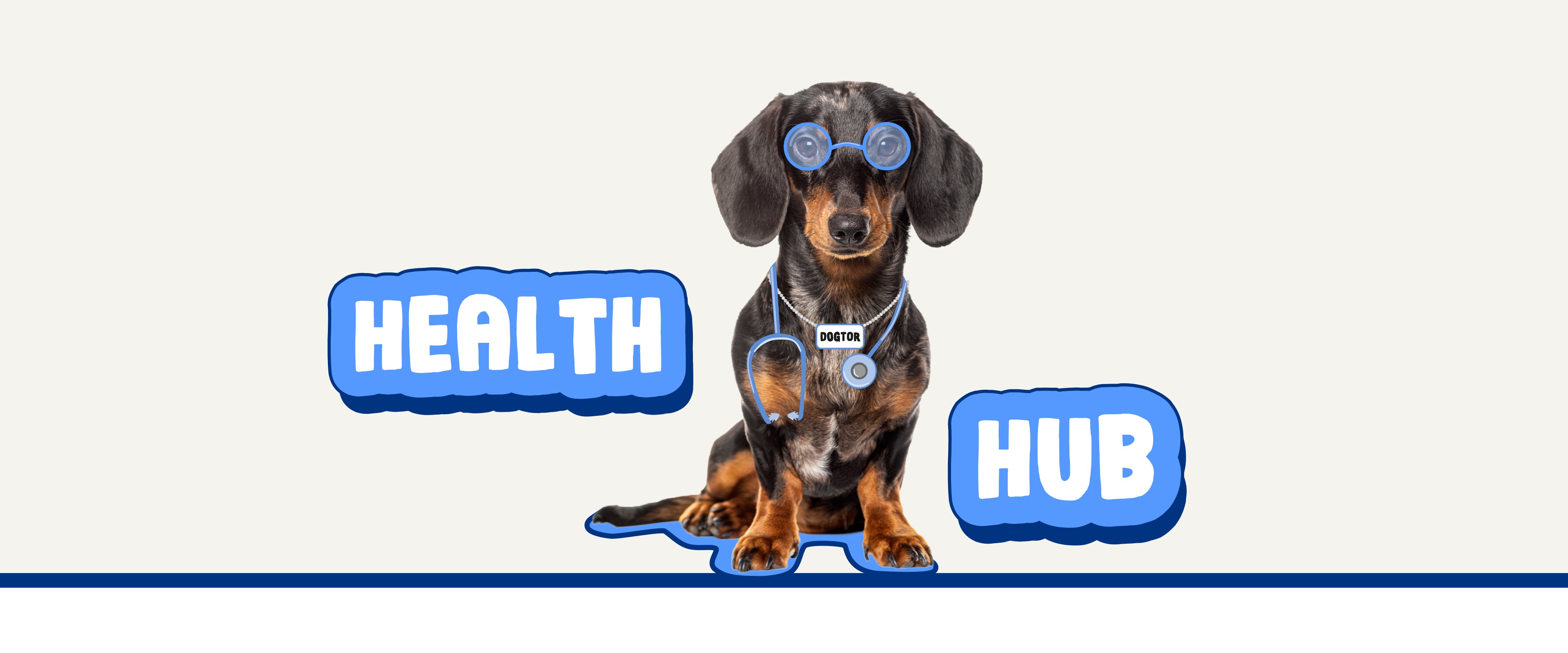 Dog wearing a stethoscope with 'Health Hub' text on a white background