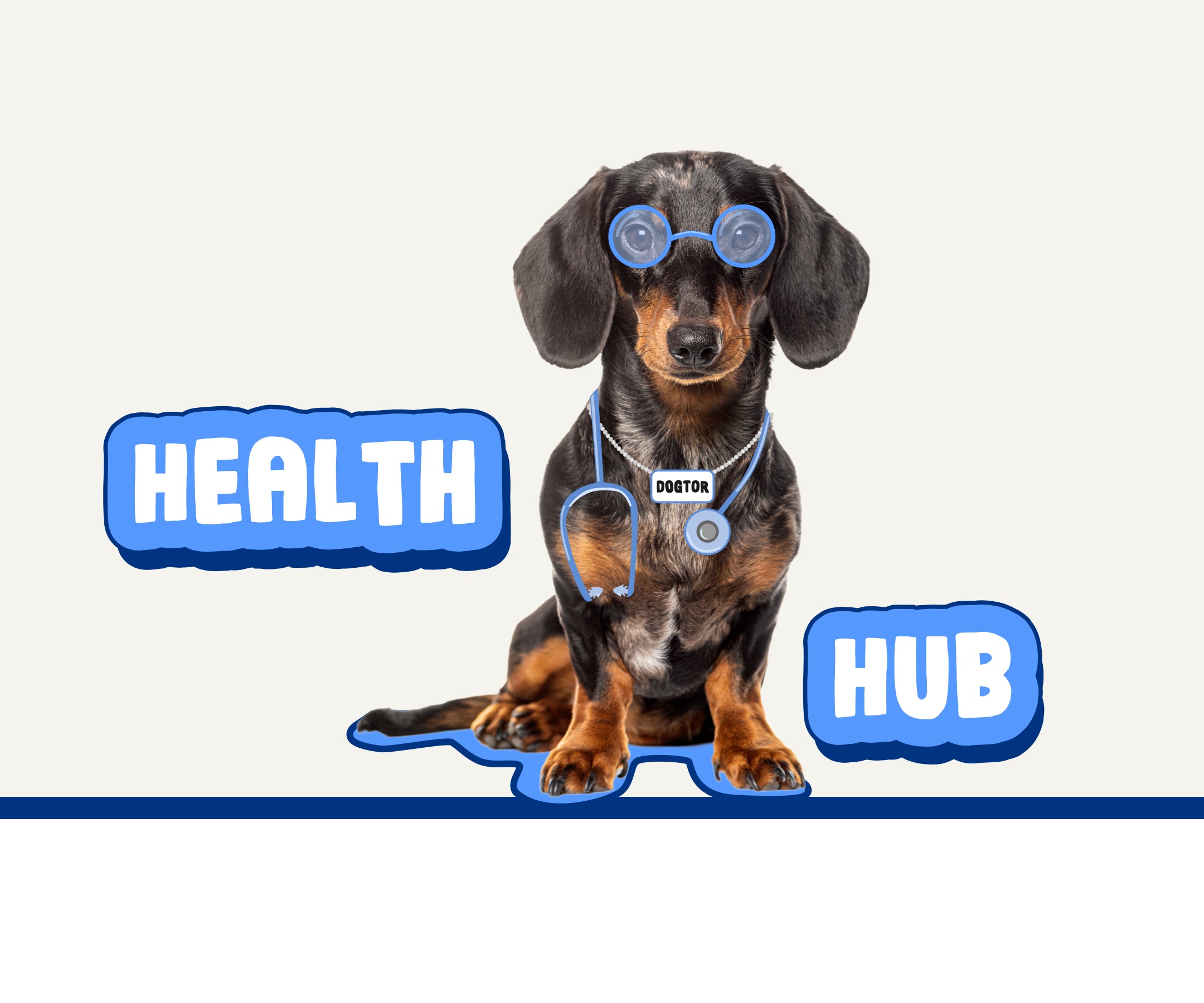 Dog with medical accessories on a white background with 'Health Hub' text