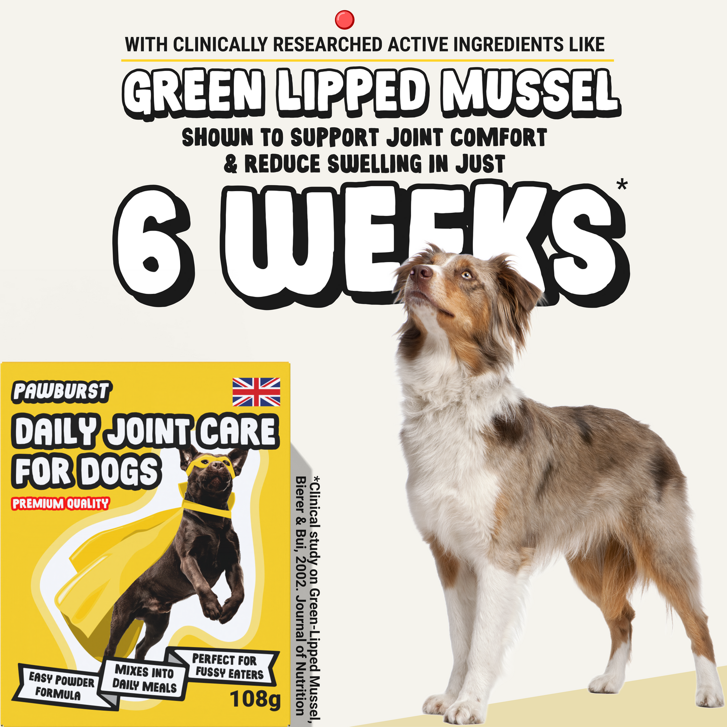 Daily Joint Supplement for Dogs