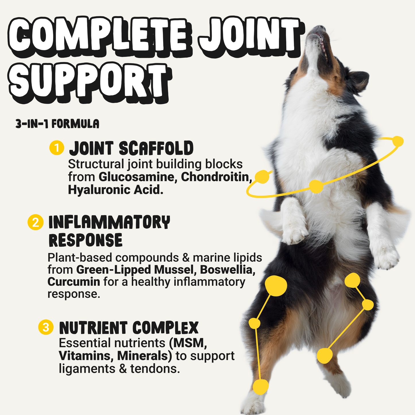 Daily Joint Supplement for Dogs