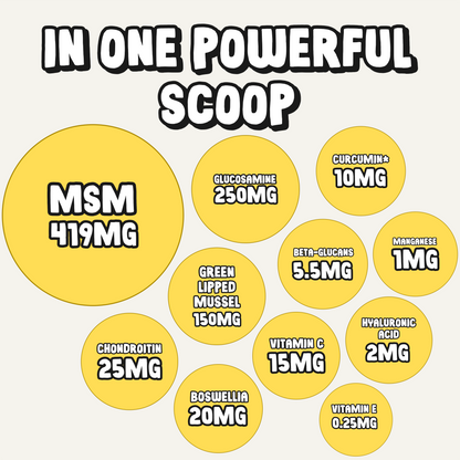 Daily Joint Supplement for Dogs